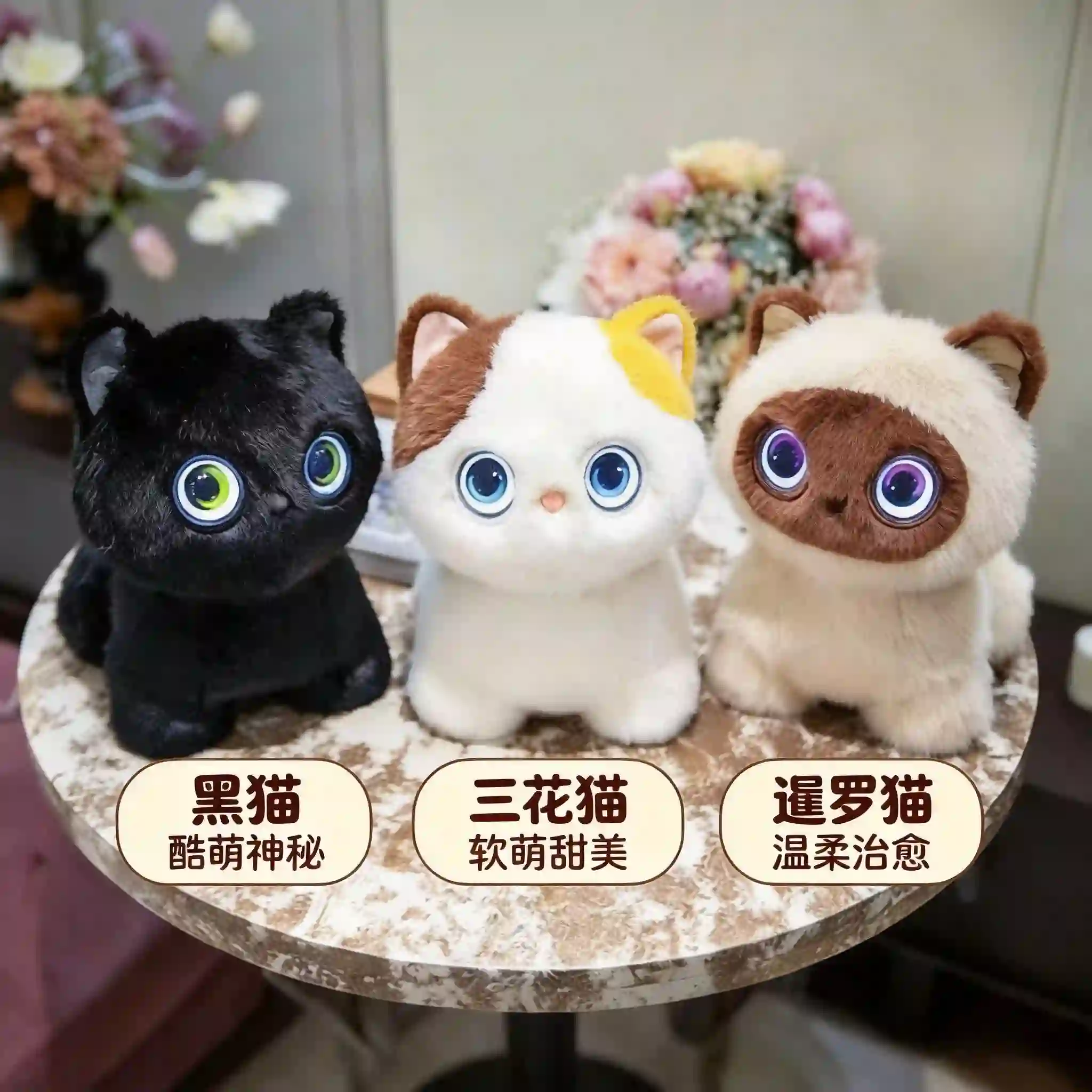 猫系陪伴产品主视觉
